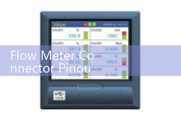 Flow Meter Connector Pinouts: Standard M12 and Terminal Block Wiring for Field Techs